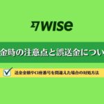 【WISE】誤送金と送金時の注意点