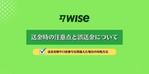 【WISE】誤送金と送金時の注意点